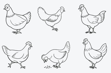 Elegant Hen Line Art Set Vector, High-Quality and Versatile Designs