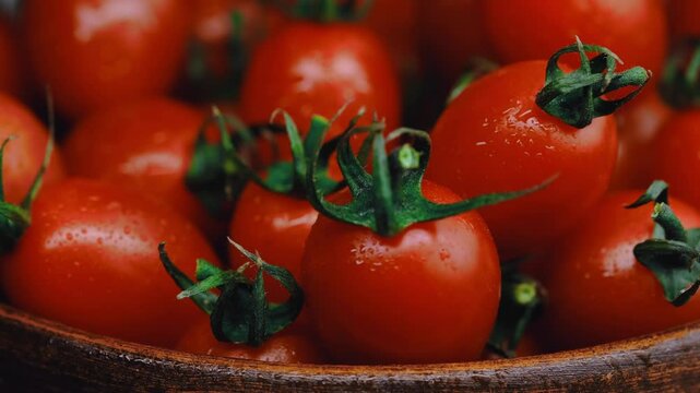 red fresh tomatoes in water droplets