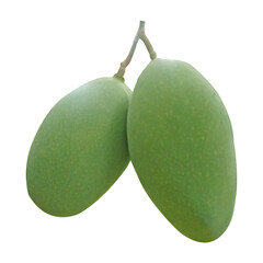 Green Mango Fruit Image