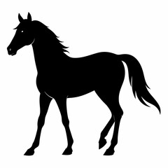 Horse Black silhouette