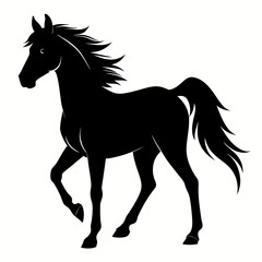 Horse Black silhouette