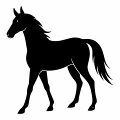 Horse Black silhouette
