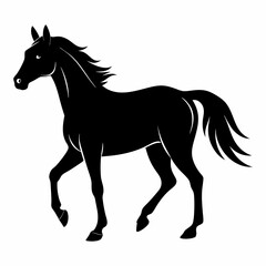 Horse Black silhouette