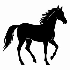 Horse Black silhouette