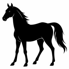 Horse Black silhouette