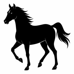 Horse Black silhouette
