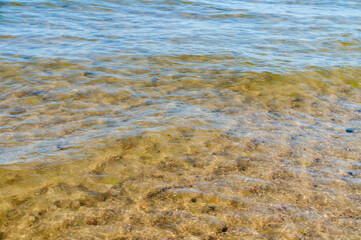 The background is clear water. Water with a yellow tint. The bottom of a body of water through the water.