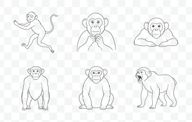 Print Comprehensive Collection of Chimpanzee Line Art Vector Illustrations