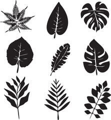 Leaf silhouette set 