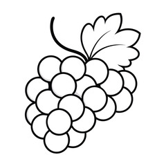 grapes line art illustration on a white background,