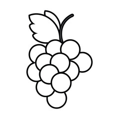 grapes line art illustration on a white background,