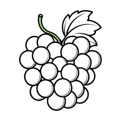 grapes line art illustration on a white background,
