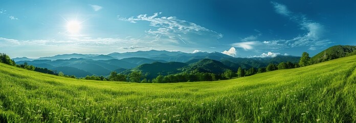 Lovely countryside of Romania. Sunny afternoon. Beautiful spring landscapes in the mountains. The sky is clear and the grass is green. A beautiful countryside landscape in the country.