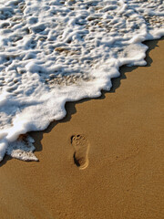 Footprint on the Beach
