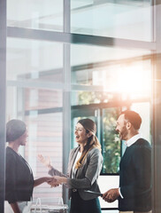 Business people, handshake and welcome in office with introduction for partnership, greeting or collaboration. Lens flare, diversity and employee with client shaking hands for deal, b2b or agreement © ReeseArcurs/peopleimages.com