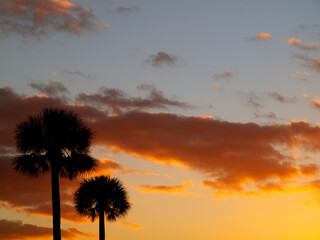 Sunset with Palm Trees