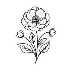 hand drawn flat design simple flower outline isolated on a white background,