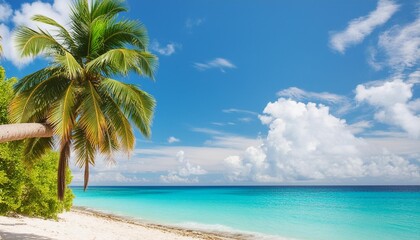 beautiful palm tree on tropical island beach on background blue sky with white clouds and turquoise ocean on sunny day perfect natural landscape for summer vacation