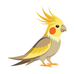 illustration of a cockatiel parakeet Isolated