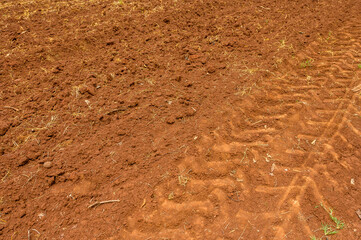 Tractor tire marks on a piece of land.