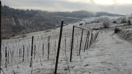 italian hill and vineyard frozen