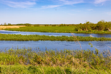 Panoramic view of Biebrza river and Biebrzanski National Park grassy wetlands seen from Burzyn village near Wizna town in Podlaskie region of Poland
