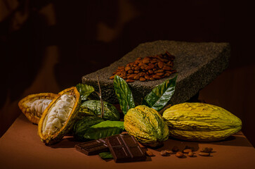 Composition of cocoa fruits, roasted seeds and processed cocoa in the form of gourmet chocolate bars