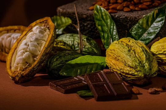 Close-up shot of composition of cocoa fruits, toasted seeds and processed cocoa in the form of gourmet chocolate bars.