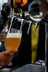 Close-up of a hand pouring beer from a tap into a clear glass.