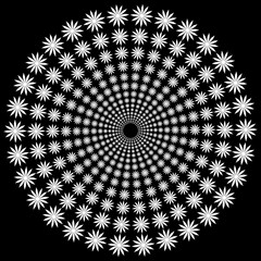 multiple concentric circles made of white flowers on black