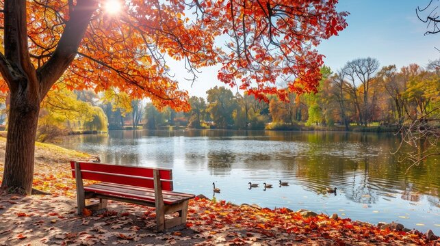 Tranquil autumn scene with a red bench by a lake in a sunny park. Concept of fall foliage, peaceful nature, reflection, serene landscape - Powered by Adobe