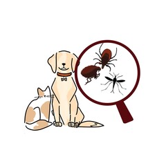 Cat and dog infested, magnifying glass with parasites, checking for ticks mosquitos flea