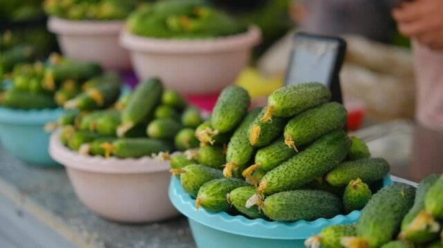 a girl takes green cucumbers at the market