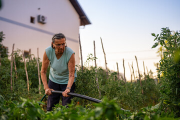 An elderly person watering plants in a garden with a hose on a sunny day. The garden is lush with...