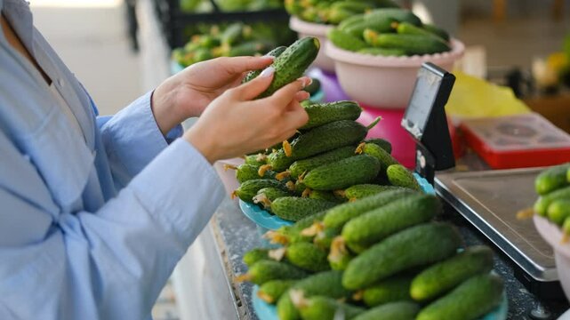 a girl takes green cucumbers at the market