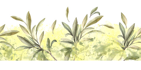 Olive tree branch, without fruit with green leaves on watercolor stains, brush stroke background. Botanical floral seamless border, pattern. Hand drawn nature illustration for label, packing. Isolated