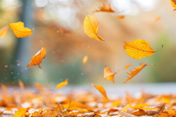 Autumn colorful background, fall backdrop