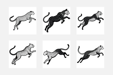 wild set of animals