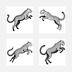 set of cheetah