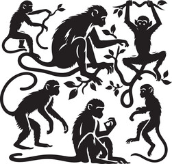 black and white illustration of a monkey