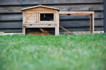 A two-story wooden rabbit hutch with an animal enclosure and two lying rabbits inside is standing...