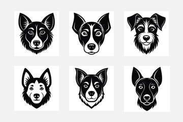 Fototapeta premium group of dogs