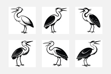 Fototapeta premium set of birds