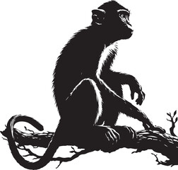 black and white illustration of a monky