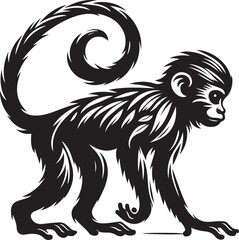 black and white background of a monkey