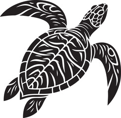 illustration of turtle