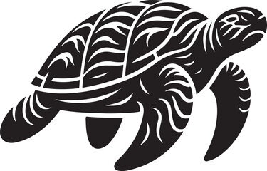 illustration of turtle