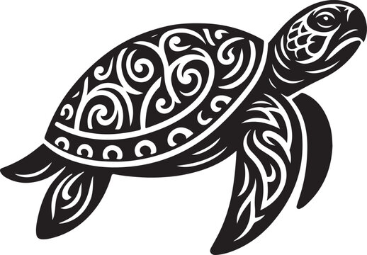 illustration of turtle