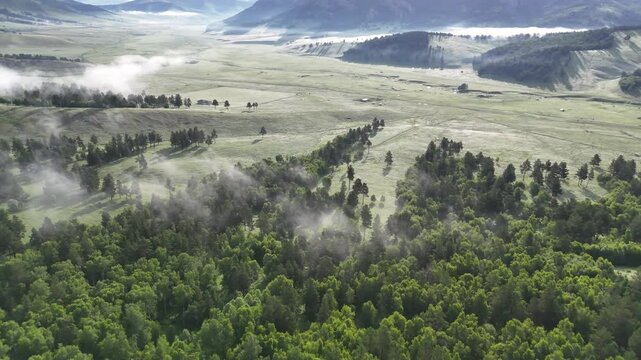 Nebel am Morgen in der mongolischen Steppe