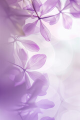 Obraz premium pink flowers background